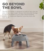 Up-Feeder-Bowl-Gry-3-in-1-2