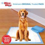 045663016463_four-paws_four-paws-wee-wee-puppy-pee-pads-6-count-extra-large_lifestyle