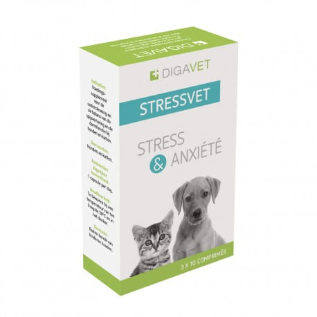 Anxivet Perros y Gatos