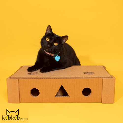 Kokopets Rascador Magic Box