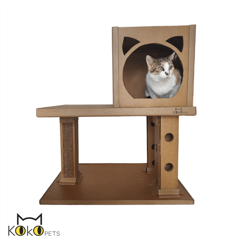 Kokopets Rascador Catplay