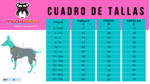 Cuadro-de-tallas