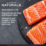 diamond-naturals-skin-coat-all-life-stages-dog-salmon-potato-protein-122021