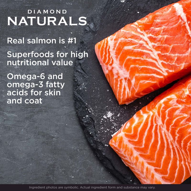 diamond-naturals-skin-coat-all-life-stages-dog-salmon-potato-protein-122021