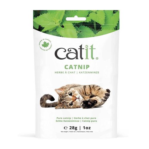 Catnip Cat It