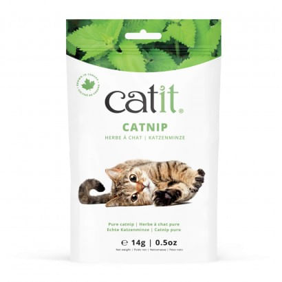 Catnip Cat It