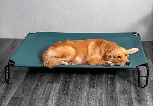 Cama Elevada Para Perro Grande (107x77 Cm-Hasta 35 Kg)