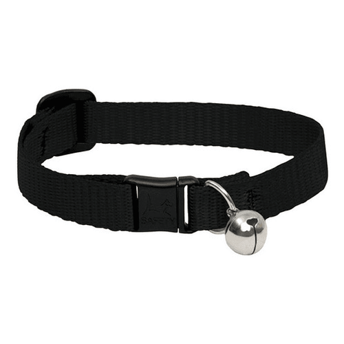 Collar De Gato Grreat Choice