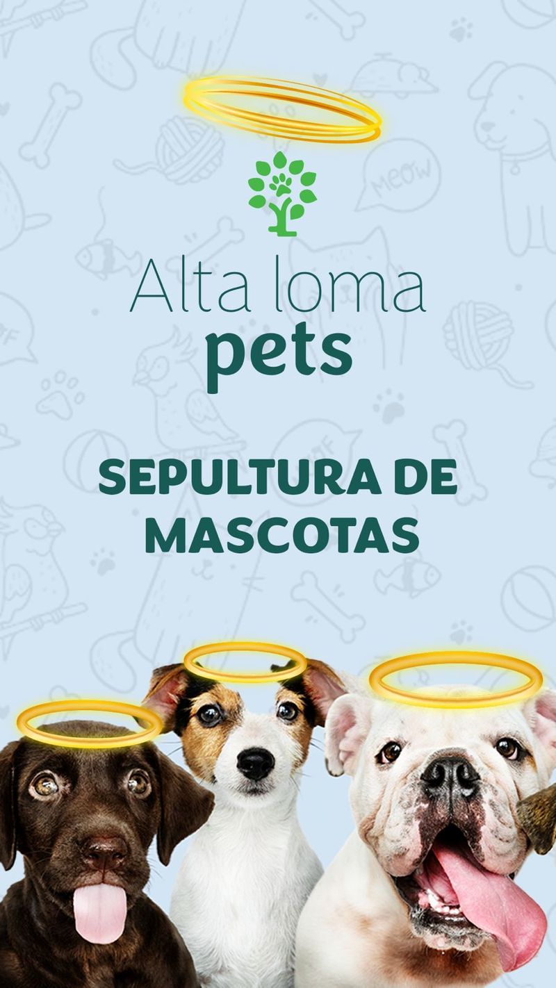 sepultura_mascotas_1