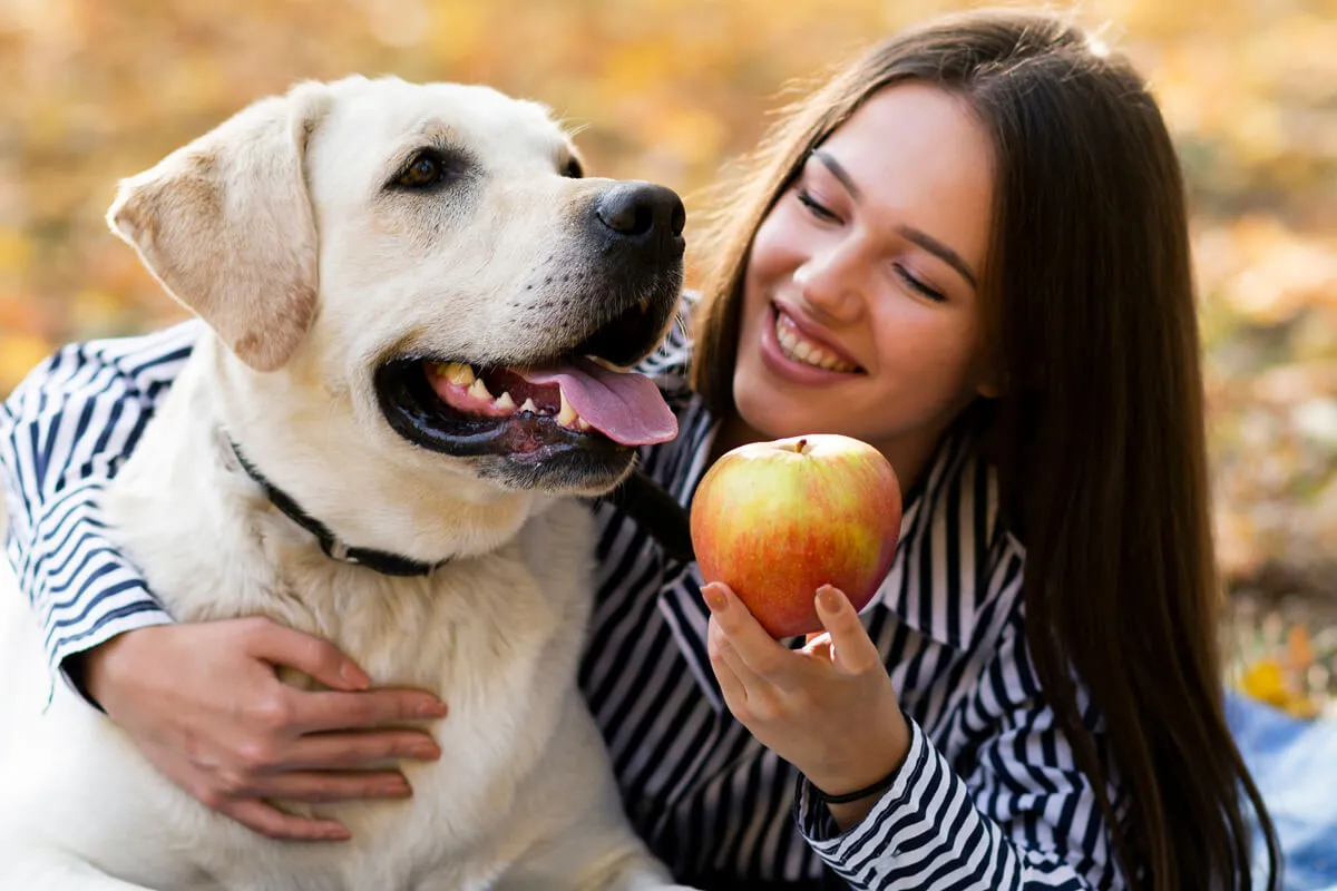 banner perros